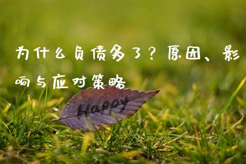 为什么负债多了？原因、影响与应对策略_https://cj007.lansai.wang_全球市场_第1张