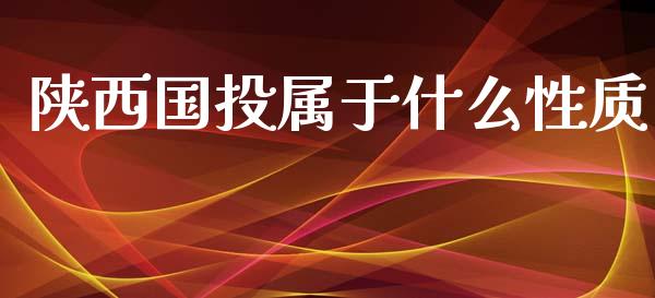 陕西国投属于什么性质_https://cj007.lansai.wang_外汇交易_第1张