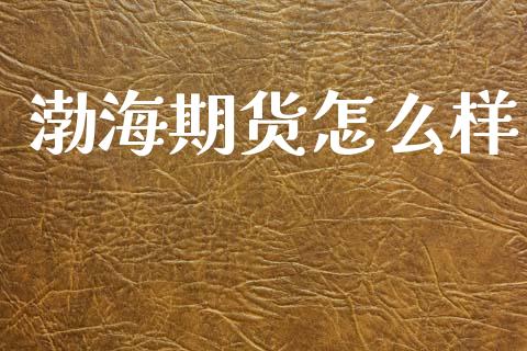渤海期货怎么样_https://cj007.lansai.wang_金融监管_第1张