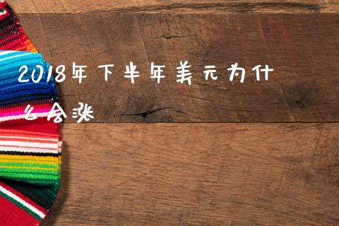 2018年下半年美元为什么会涨_https://cj007.lansai.wang_金融监管_第1张
