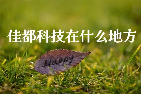佳都科技在什么地方_https://cj007.lansai.wang_债券资讯_第1张