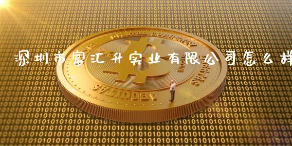 深圳市富汇升实业有限公司怎么样_https://cj007.lansai.wang_全球市场_第1张