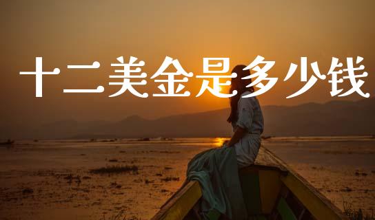 十二美金是多少钱_https://cj007.lansai.wang_金融监管_第1张