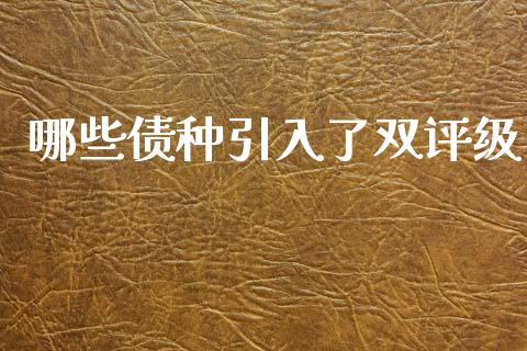 哪些债种引入了双评级_https://cj007.lansai.wang_全球市场_第1张