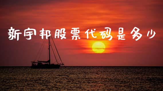 新宇邦股票代码是多少_https://cj007.lansai.wang_外汇交易_第1张