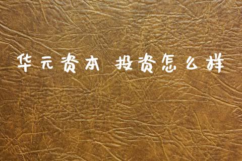 华元资本 投资怎么样_https://cj007.lansai.wang_财经新闻_第1张