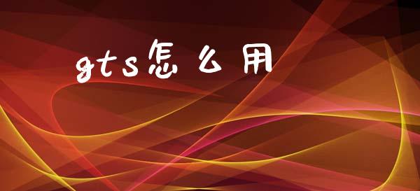 gts怎么用_https://cj007.lansai.wang_金融监管_第1张