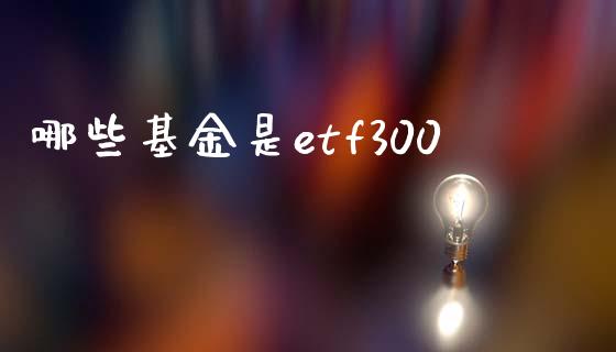 哪些基金是etf300_财经新闻_第1张_期货开户_金融监管_外汇交易_债券资讯_全球市场_财经新闻 哪些基金是etf300_https://cj007.lansai.wang_财经新闻_第1张