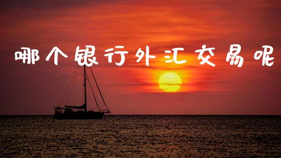 哪个银行外汇交易呢_https://cj007.lansai.wang_财经新闻_第1张