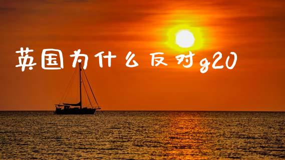 英国为什么反对g20_https://cj007.lansai.wang_金融监管_第1张