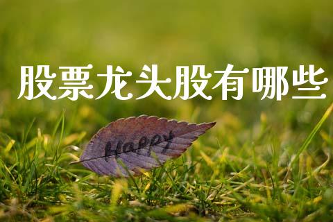 股票龙头股有哪些_https://cj007.lansai.wang_期货开户_第1张
