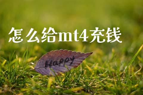 怎么给mt4充钱_https://cj007.lansai.wang_财经新闻_第1张