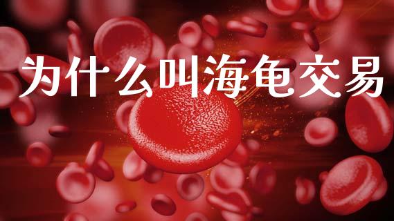 为什么叫海龟交易_https://cj007.lansai.wang_期货开户_第1张