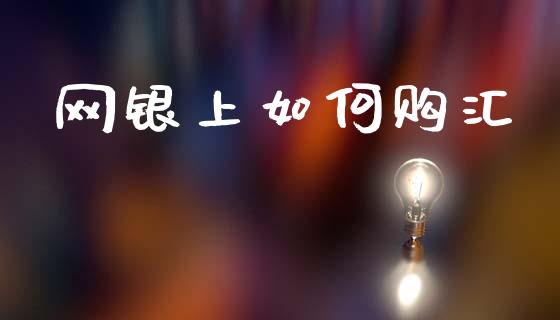 网银上如何购汇_https://cj007.lansai.wang_金融监管_第1张