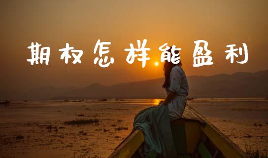 期权怎样能盈利_https://cj007.lansai.wang_外汇交易_第1张