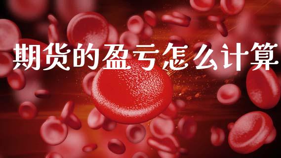期货的盈亏怎么计算_https://cj007.lansai.wang_金融监管_第1张