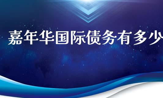 嘉年华国际债务有多少_https://cj007.lansai.wang_金融监管_第1张