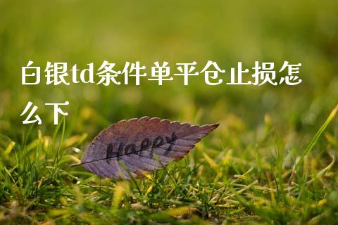 白银td条件单平仓止损怎么下_https://cj007.lansai.wang_债券资讯_第1张