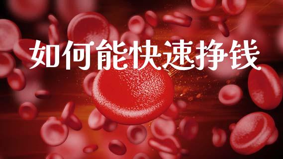 如何能快速挣钱_https://cj007.lansai.wang_债券资讯_第1张