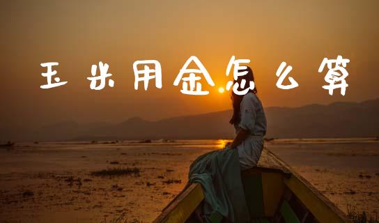 玉米用金怎么算_https://cj007.lansai.wang_债券资讯_第1张