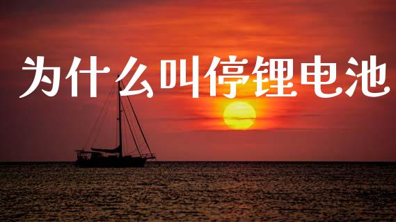 为什么叫停锂电池_https://cj007.lansai.wang_财经新闻_第1张