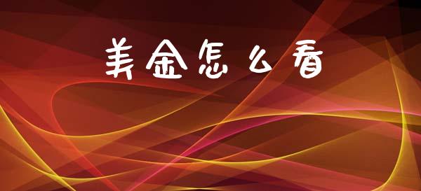 美金怎么看_https://cj007.lansai.wang_债券资讯_第1张