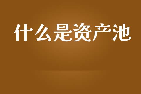 什么是资产池_https://cj007.lansai.wang_金融监管_第1张