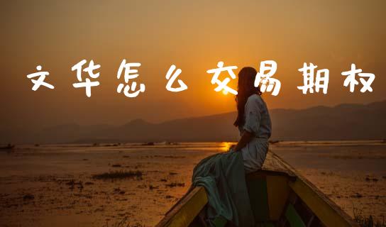 文华怎么交易期权_https://cj007.lansai.wang_外汇交易_第1张