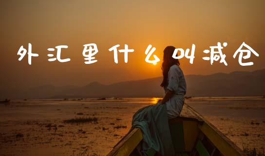 外汇里什么叫减仓_https://cj007.lansai.wang_债券资讯_第1张