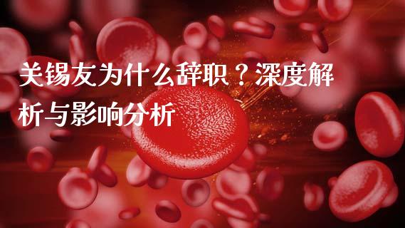 关锡友为什么辞职？深度解析与影响分析_https://cj007.lansai.wang_金融监管_第1张