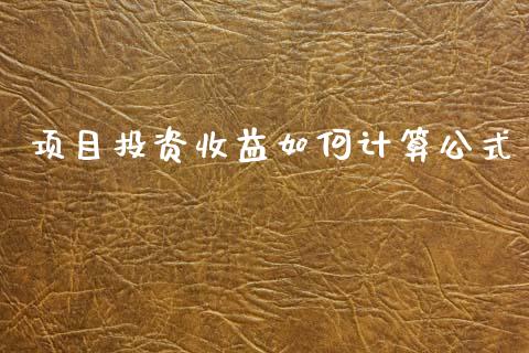项目投资收益如何计算公式_https://cj007.lansai.wang_金融监管_第1张