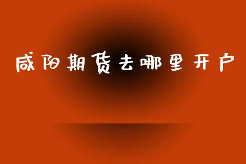 咸阳期货去哪里开户_https://cj007.lansai.wang_金融监管_第1张