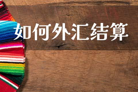 如何外汇结算_https://cj007.lansai.wang_债券资讯_第1张