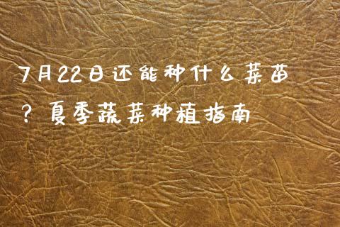7月22日还能种什么菜苗？夏季蔬菜种植指南_https://cj007.lansai.wang_全球市场_第1张