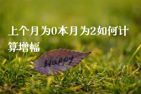 上个月为0本月为2如何计算增幅_https://cj007.lansai.wang_外汇交易_第1张