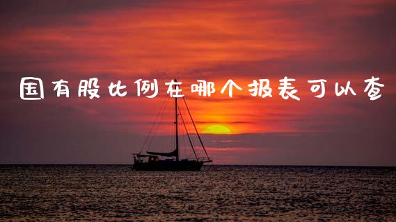 国有股比例在哪个报表可以查_https://cj007.lansai.wang_债券资讯_第1张