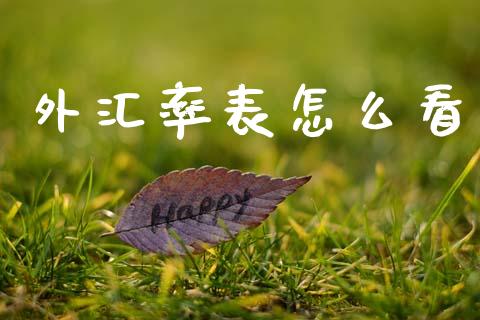 外汇率表怎么看_https://cj007.lansai.wang_债券资讯_第1张