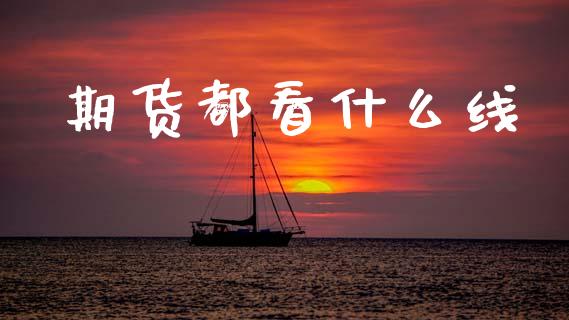 期货都看什么线_https://cj007.lansai.wang_债券资讯_第1张