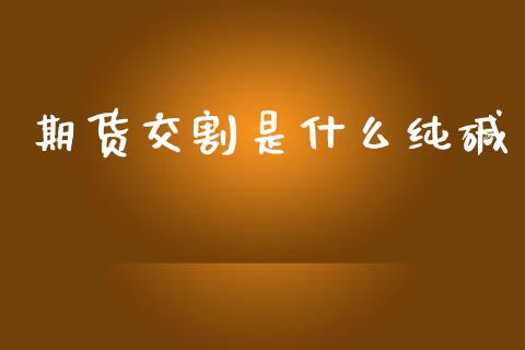期货交割是什么纯碱_https://cj007.lansai.wang_金融监管_第1张