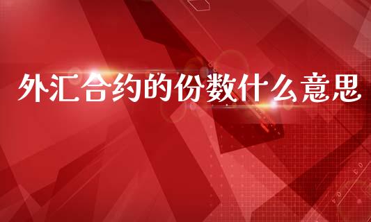 外汇合约的份数什么意思_https://cj007.lansai.wang_债券资讯_第1张