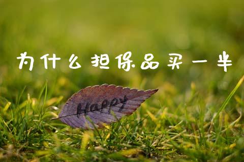 为什么担保品买一半_https://cj007.lansai.wang_期货开户_第1张