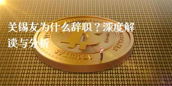 关锡友为什么辞职？深度解读与分析_https://cj007.lansai.wang_金融监管_第1张