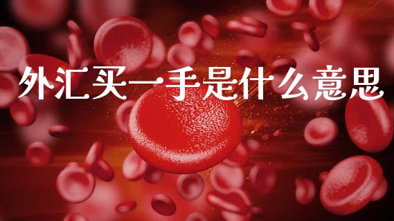 外汇买一手是什么意思_https://cj007.lansai.wang_外汇交易_第1张
