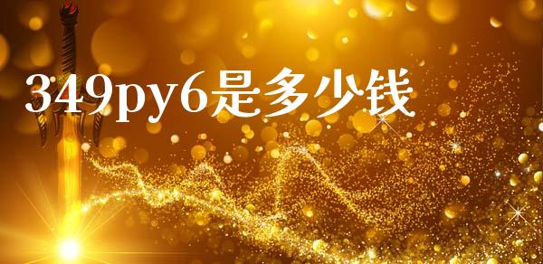 349py6是多少钱_https://cj007.lansai.wang_期货开户_第1张