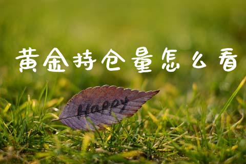 黄金持仓量怎么看_https://cj007.lansai.wang_财经新闻_第1张