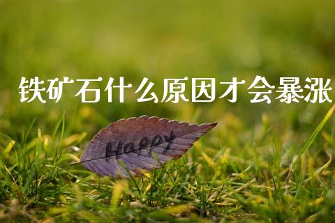 铁矿石什么原因才会暴涨_https://cj007.lansai.wang_债券资讯_第1张