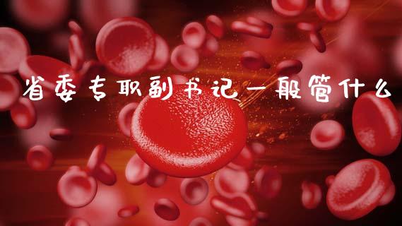 省委专职副书记一般管什么_https://cj007.lansai.wang_债券资讯_第1张