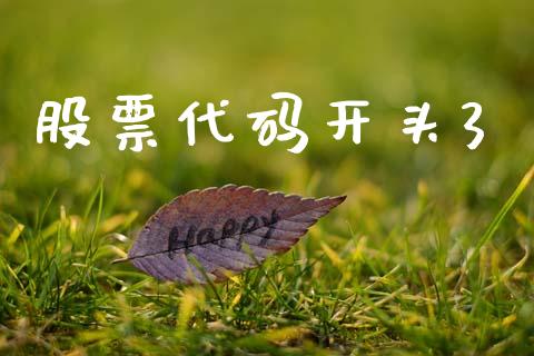 股票代码开头3_https://cj007.lansai.wang_财经新闻_第1张