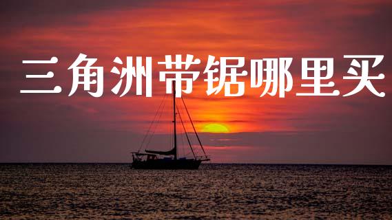 三角洲带锯哪里买_https://cj007.lansai.wang_期货开户_第1张