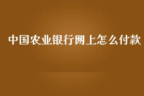 中国农业银行网上怎么付款_https://cj007.lansai.wang_全球市场_第1张
